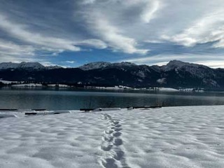 Forggensee_Winter.jpeg
