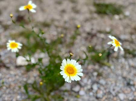 Bild2